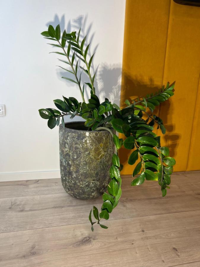 Sofia Apartment & Zimmer Sillweg Naehe Rebull Ring ฟอห์นสดอร์ฟ ภายนอก รูปภาพ